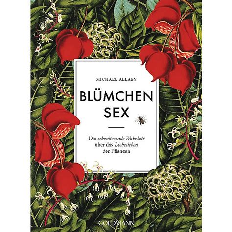 blümchensex pornos|'blümchensex' Search .